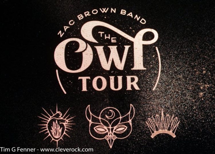 Zak Brown 2019 1