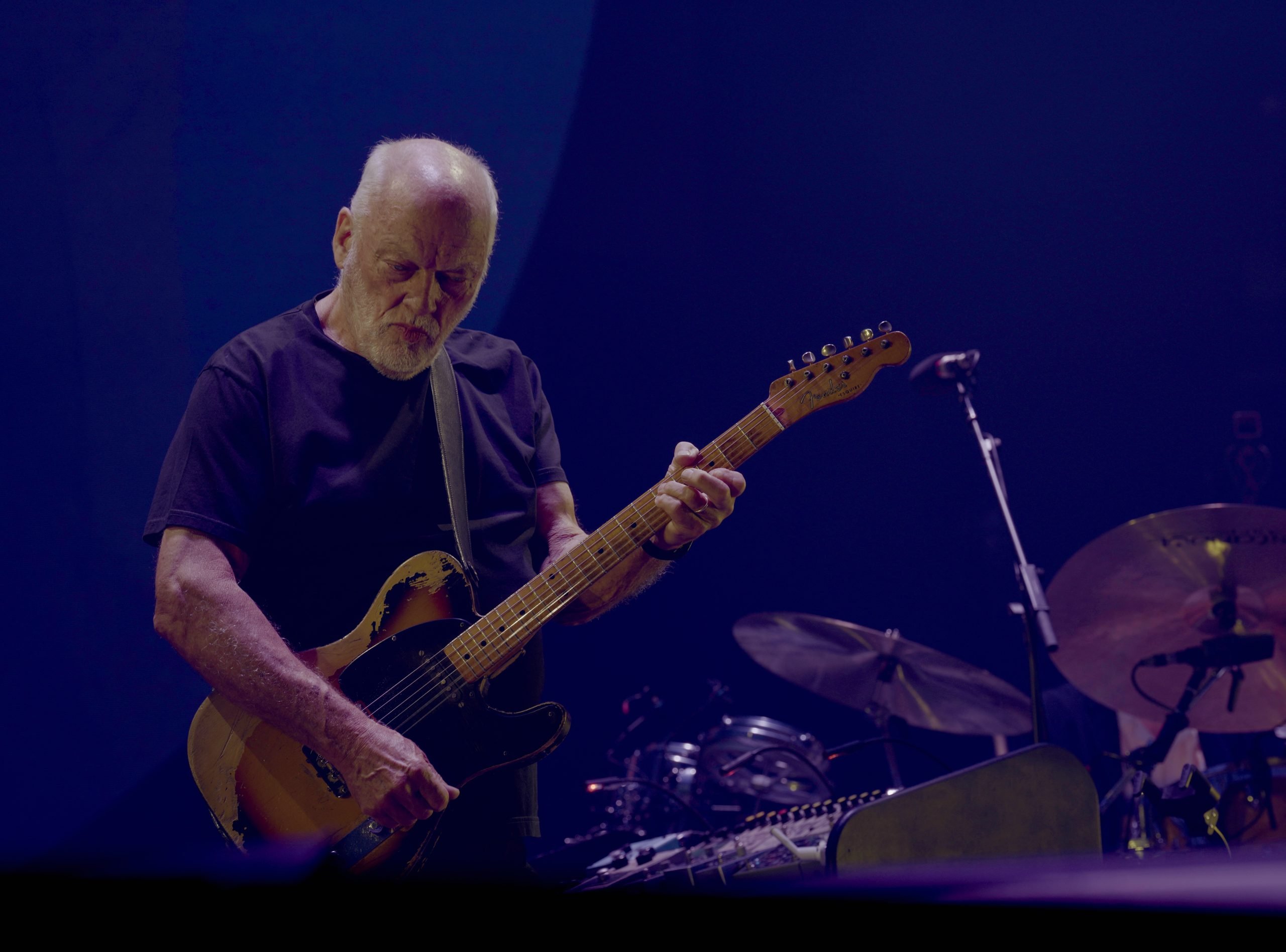 ROAD TRIP! DAVID GILMOUR @ MADISON SQUARE GARDEN (11.09.24)