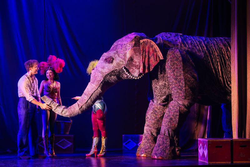 elephant cover